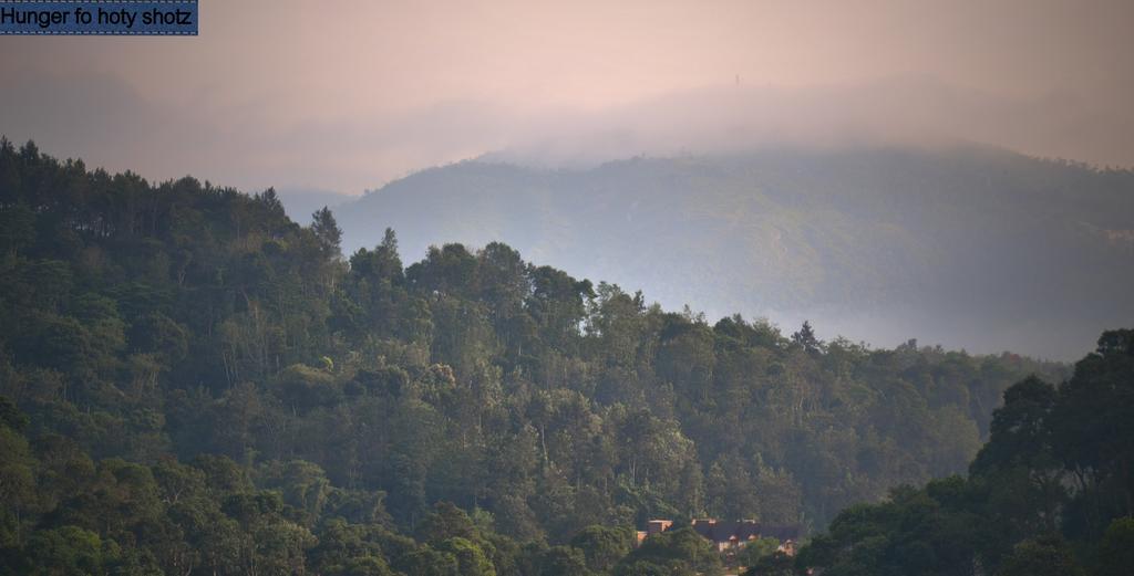 Thekkady Homestay Homestay Thekkady